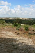 Curonian Spit Sand Dunes